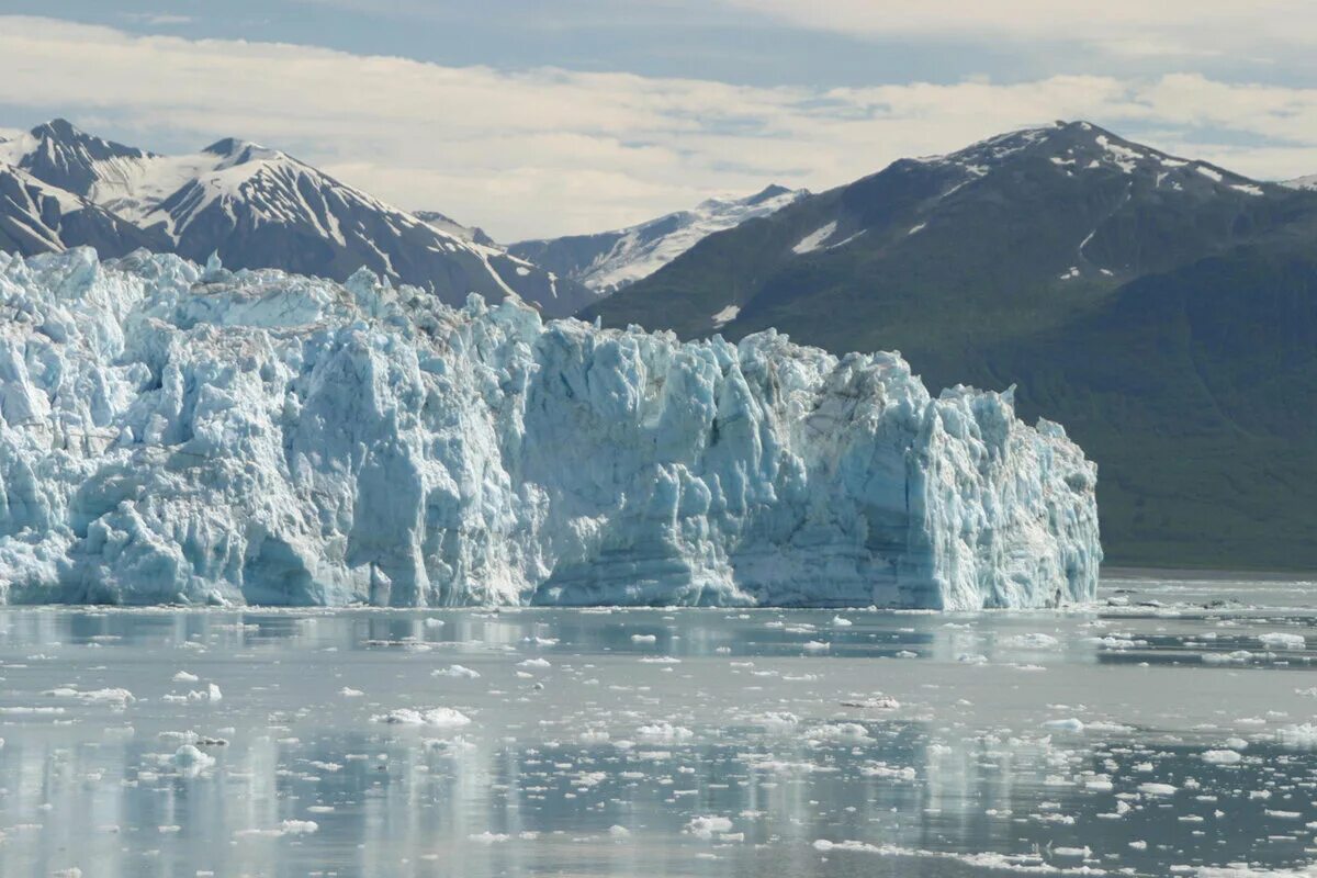 There s something in the ice. Льды крайнего севера. Льды крайнего севера России.