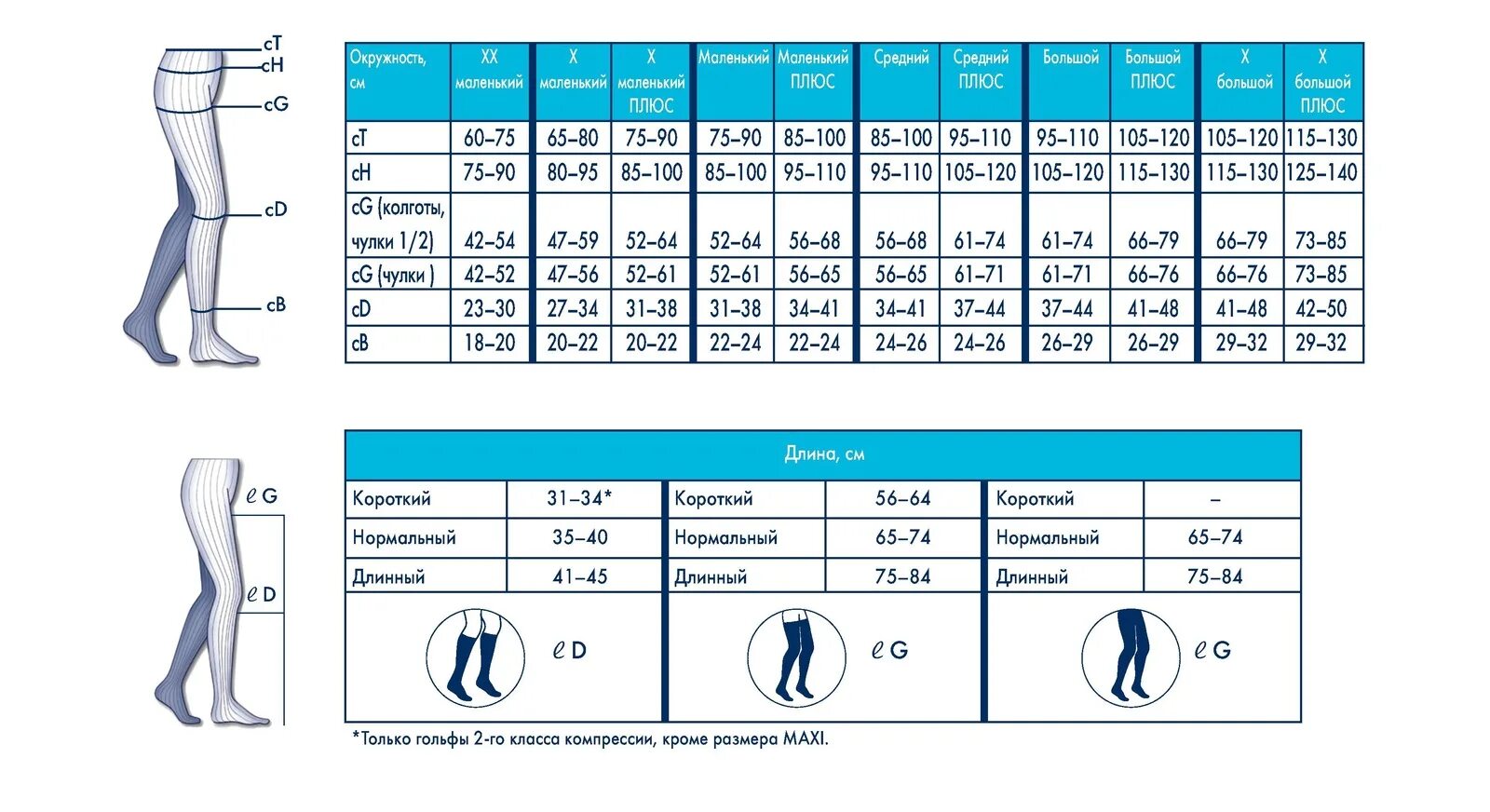 Гольфы компрессионные женские размер. Чулки Сигварис Размерная сетка. Sigvaris чулки компрессионные Размерная сетка. Размерная сетка чулков компрессионных 2 класс для женщин Сигварис. Чулки Сигварис Размерная сетка компрессионные чулки.