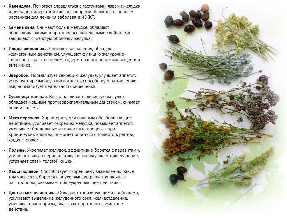 Какой чай можно пить при язве желудка