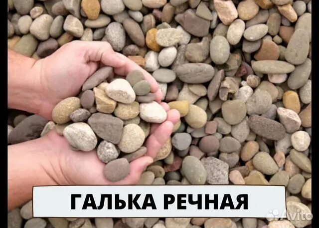 Гальку привезли в деревню