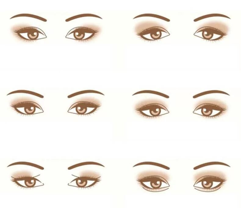 формы глаз. формы женских глаз. различные формы глаз. миндалевидные глаза физиогномика. разновидности форм глаз.