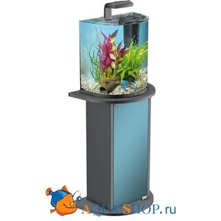 Тетра 60