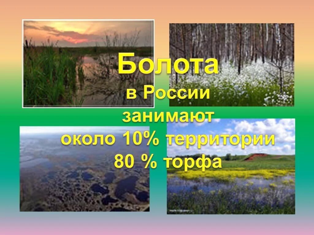 Презентация озера болота. Внутренние воды болота. Подземные воды болота ледники. Озёра болота ледники подземные воды. Озёра и болота география 8 класс.