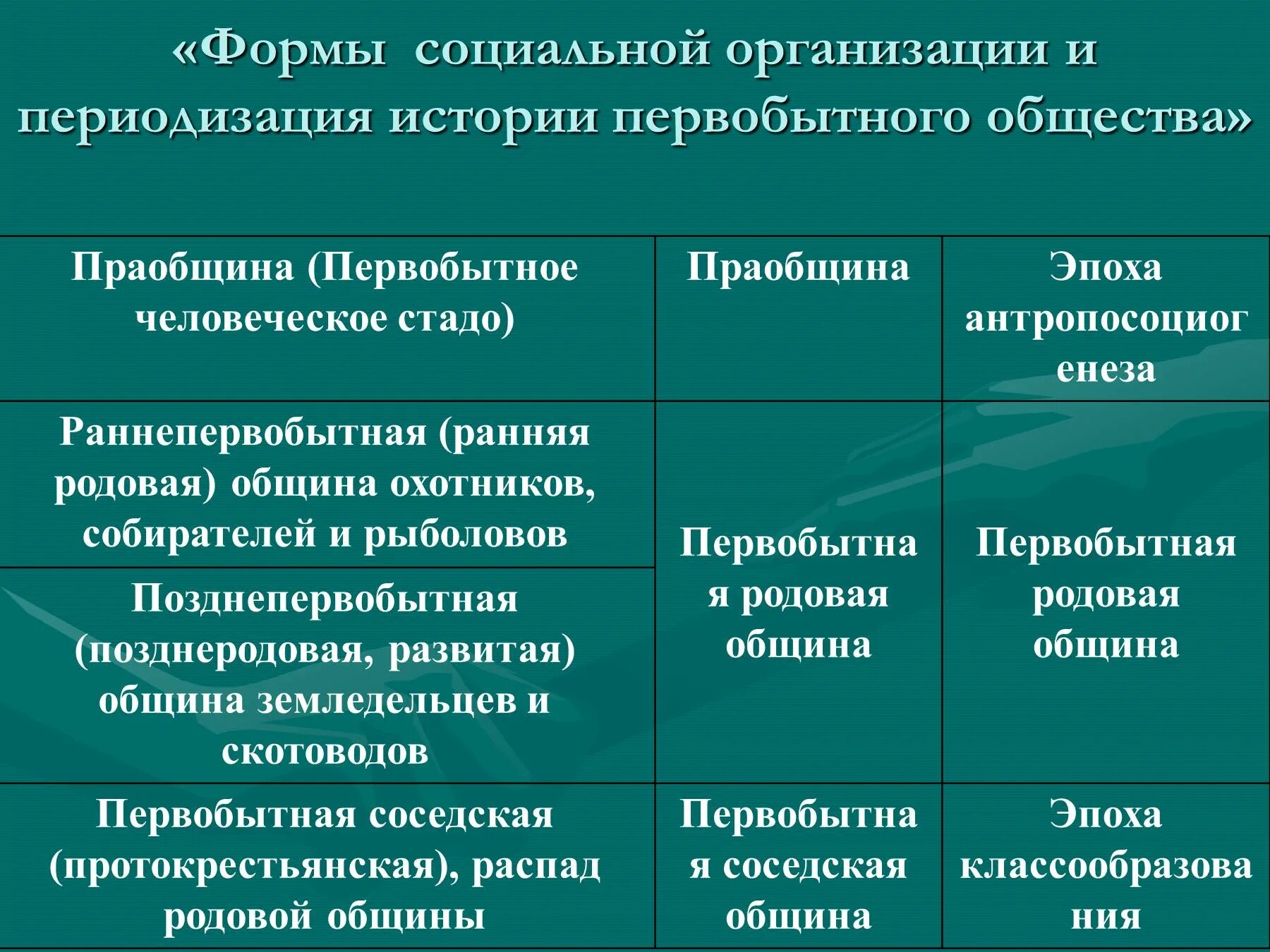 Виды обществ Первобытное. Стадии первобытного общества. Исторические формы социальной организации общества. Формы социальной организации первобытного общества.