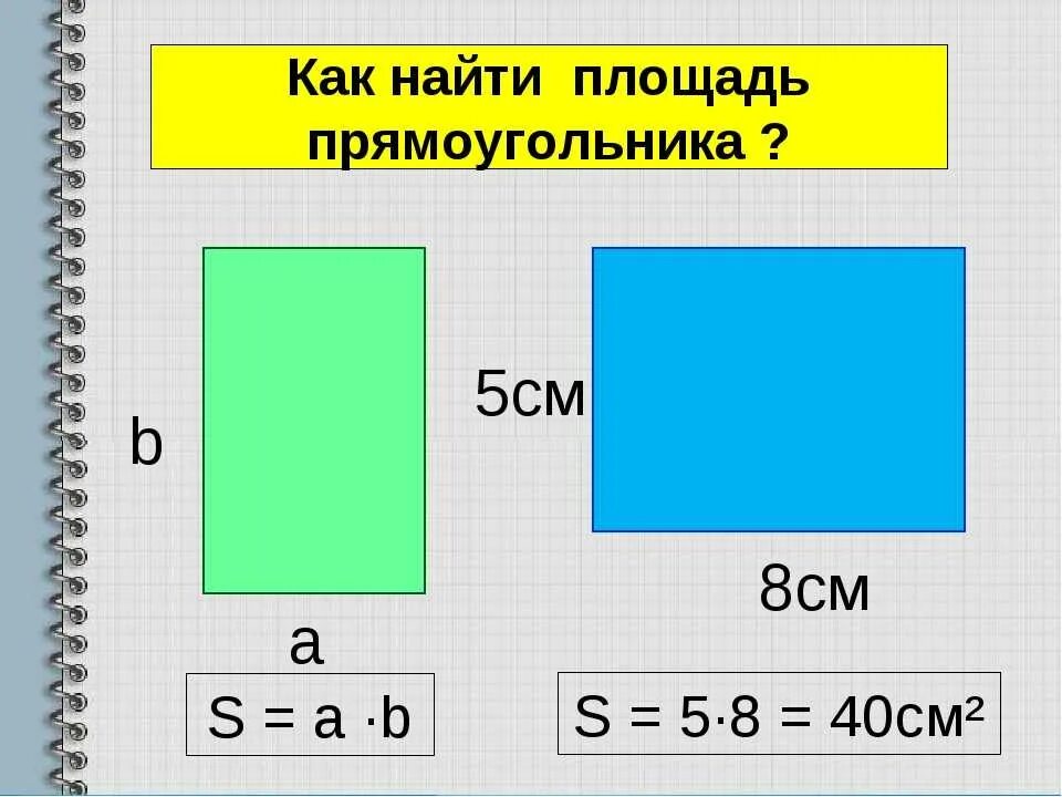 Как узнать площадь прямоугольника