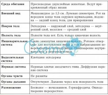 Клеточное строение тела кишечнополостных таблица 8 класс