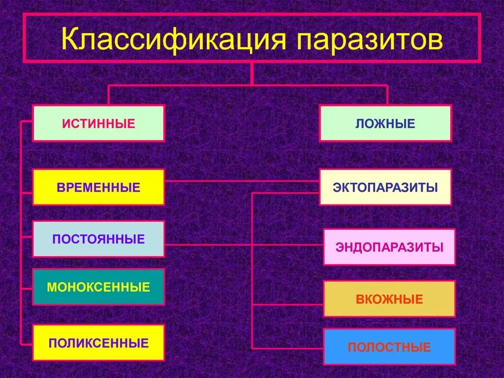 Паразитические организмы группа. Классификация паразитов. Виды паразитов классификация. Принципы классификации паразитов. Систематические группы паразитов.