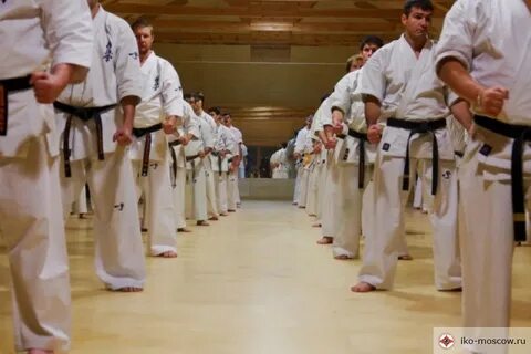Каратэ киокушинкай видео бои