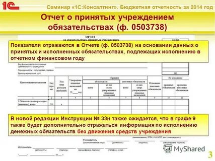 Выдачи бюджетном учреждении