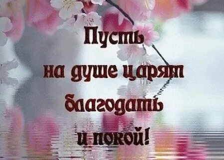 В моем душе царит