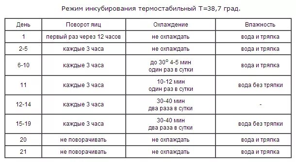 Сколько раз переворачивать яйца в инкубаторе