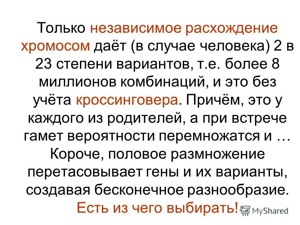 комбинативная изменчивость расхождение хромосом. анафаза мейоза 2. физиологические механизмы консолидации памяти. расхождение двухроматидных хромосом. независимое расхождение хромосом.