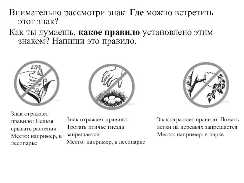 Текст если вы будете внимательно рассматривать цветы. Природоохранные знаки. Знаки защиты природы. Какое правило отабражает этот знак -. Где можно встретить символы.