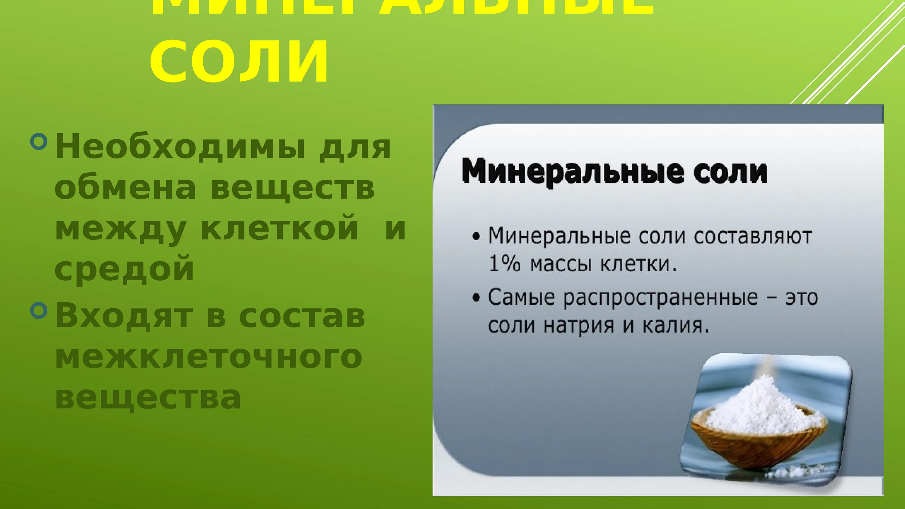 Вещество содержащее в соли. Минеральные соли. Доклад Минеральные соли.