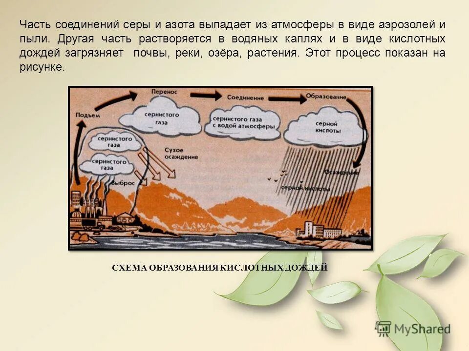 Причины появления кислотных дождей. Двуокись серы и оксиды азота. Источники оксидов азота в атмосфере. Оксид серы и оксид азота. Влияние сернистого газа на окружающую среду.