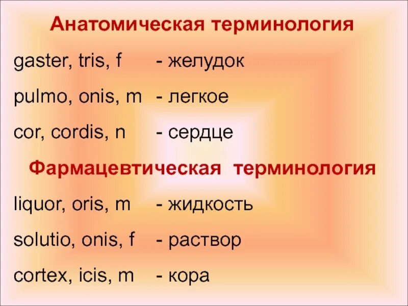 Слово латынь склонение. Gaster латынь. Gaster склонение латынь. Анатомические термины.