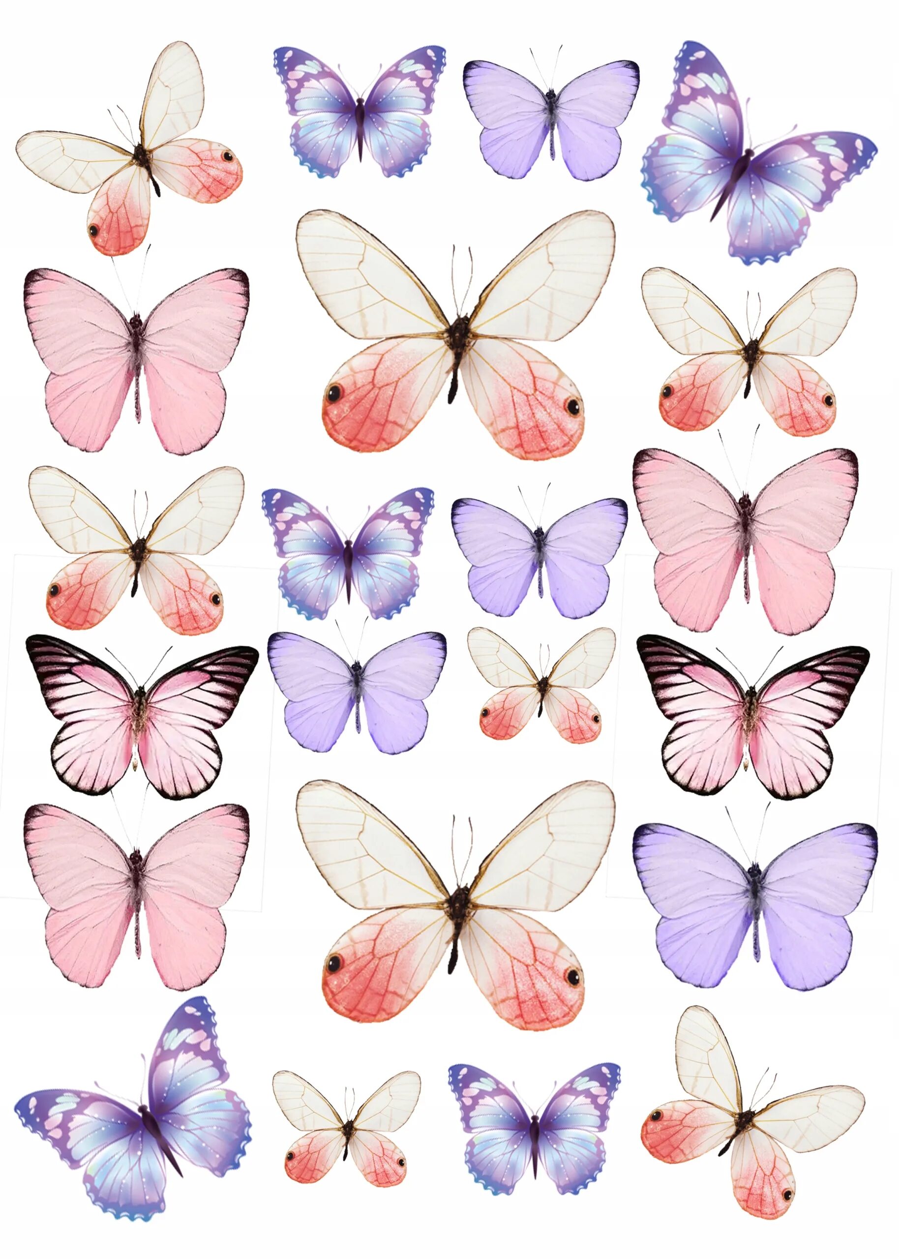 Бабочки фотопечать. Бабочки на вафельной бумаге. Торт «бабочки». Бабочки для вафельной печати. Бабочки для торта картинки для печати