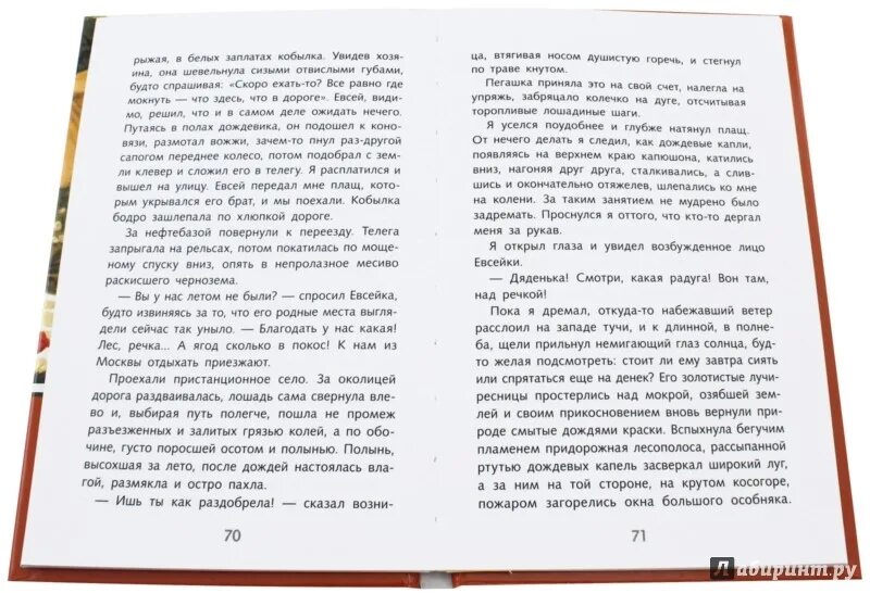 Краткое содержание рассказа пламя. Краткое содержание рассказа пламя