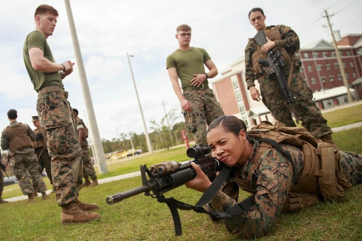Serve in military