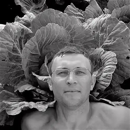 Шортлист