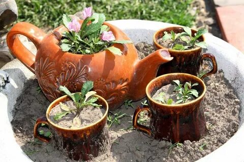 Участка горшкове