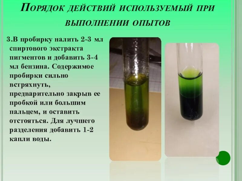 Осадок светло зеленого цвета. Метод разделения пигментов. Разделение пигментов методом Крауса. Химические свойства пигментов листа. Спиртовая вытяжка пигментов.