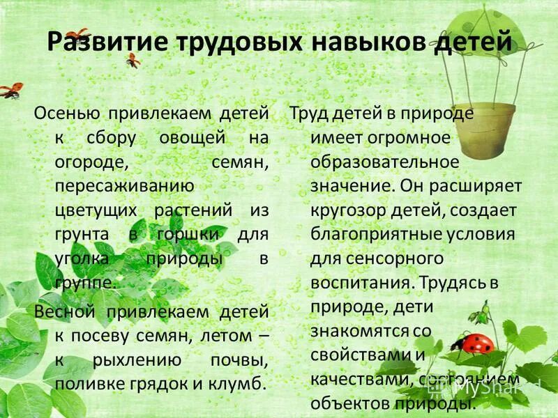 формирование трудовых навыков у детей дошкольного возраста. особенности развития трудовой деятельности в дошкольном возрасте. трудовые умения дошкольников.