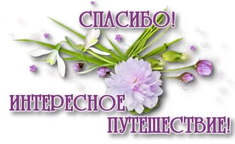 Спасибо за день кто автор