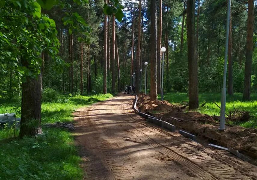 Тверицкий бор. Заповедник тверицкий парк ярославль. Тверицкий барс ярославль. Парк тверицкий бор. Тверицкий бор ярославль.