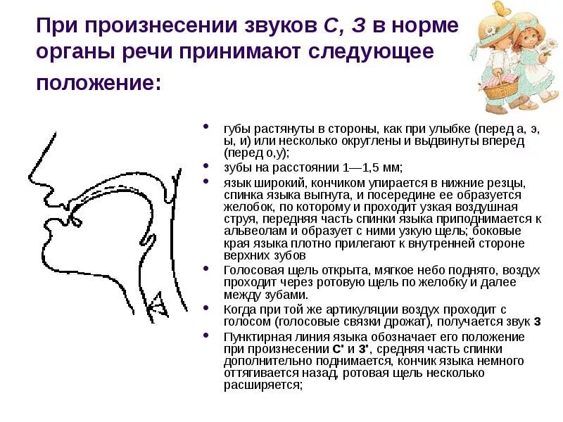 Положение органов артикуляции при произнесении звука с. Профили артикуляции свистящих звуков. С З Ц. Артикуляционный профиль звуков при ринолалии. Правильная артикуляция свистящих звуков.