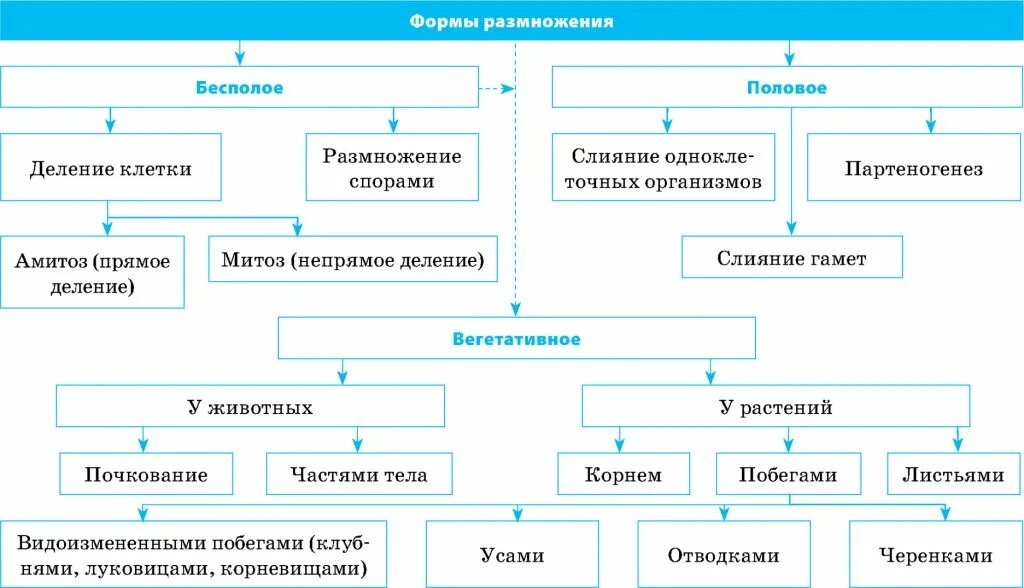 Условия бесполого размножения. Формы размножения таблица 11 класс. Формы и способы бесполого размножения. Виды бесполого размножения таблица. Формы размножения живых организмов схема.