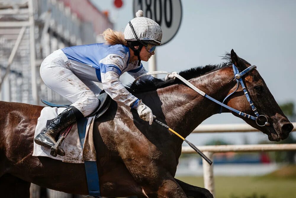 Скачки ипподром краснодар. Khip 017. Сальский ипподром. Конный ипподром бабяково. Ким хенсо bibi.