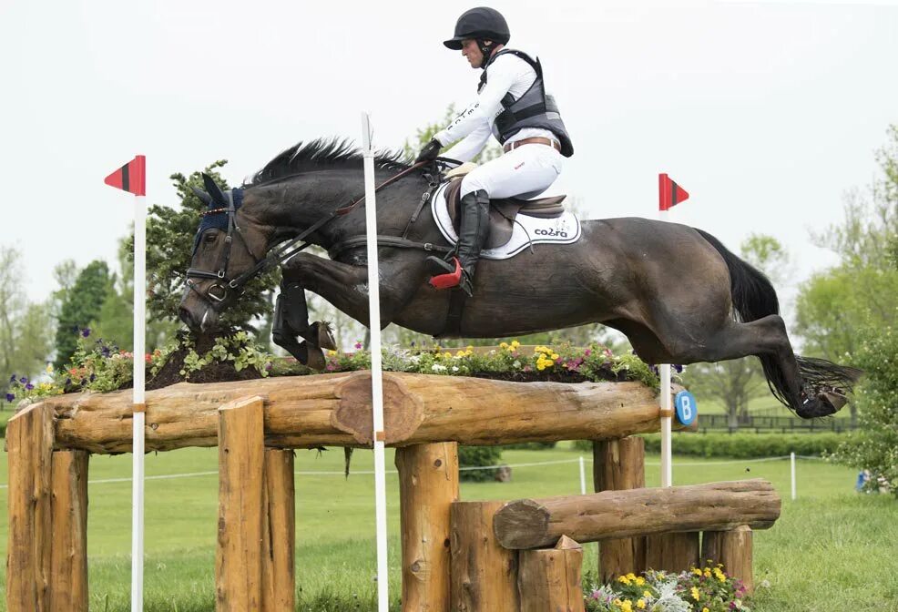 3 day eventing. Михаэль Юнг троеборье. Троеборье конный спорт. Троеборье кросс. Троеборные барьеры конный спорт.