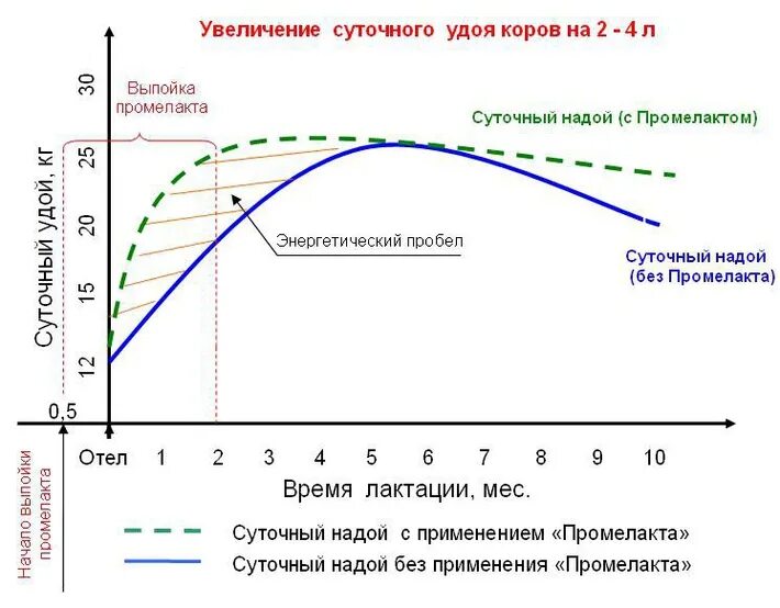 Увеличить количество молока форум. Стало меньше молока при грудном вскармливании. Увеличить количество молока форум. Продукты повышающие локтации. Женское молоко.