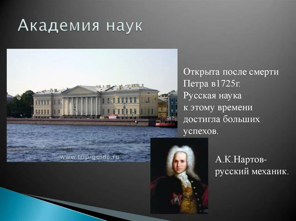 Первые академии наук россии