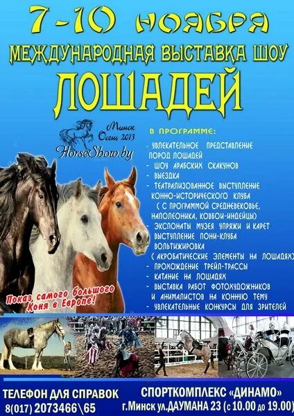 Выставка лошадей в минске на даумана
