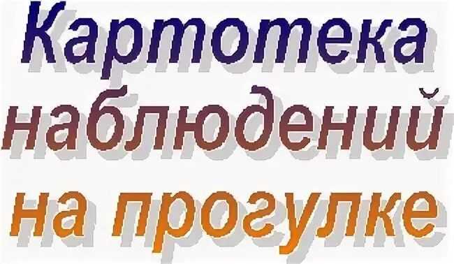 Картотека наблюдений
