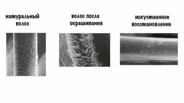 Строение поврежденного волоса. Строение волоса под микроскопом. Структура волоса под микроскопом.