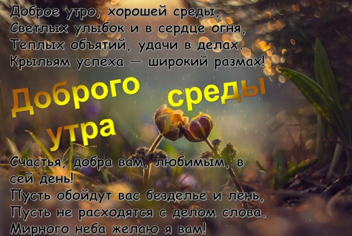 Открытки с добрым днем со смыслом. Поздравление с добрым утром в картинках среда. пожелания с добрым утром среды. красивые поздравления с добрым утром среды. поздравление со средой и добрым утром.