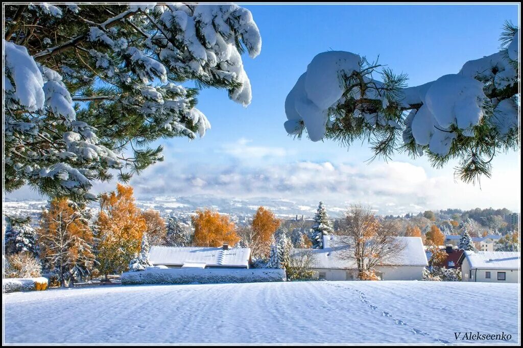 Снежный день на русском. Зимушка зима. Снежный день. Зимушка зима картинки. Зимушка зима фото красивое.