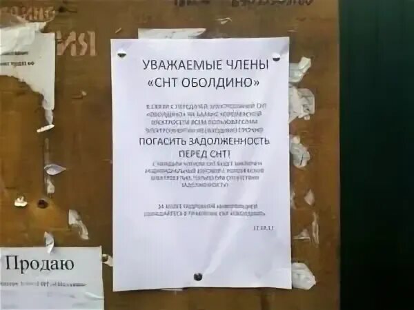 Объявление в снт
