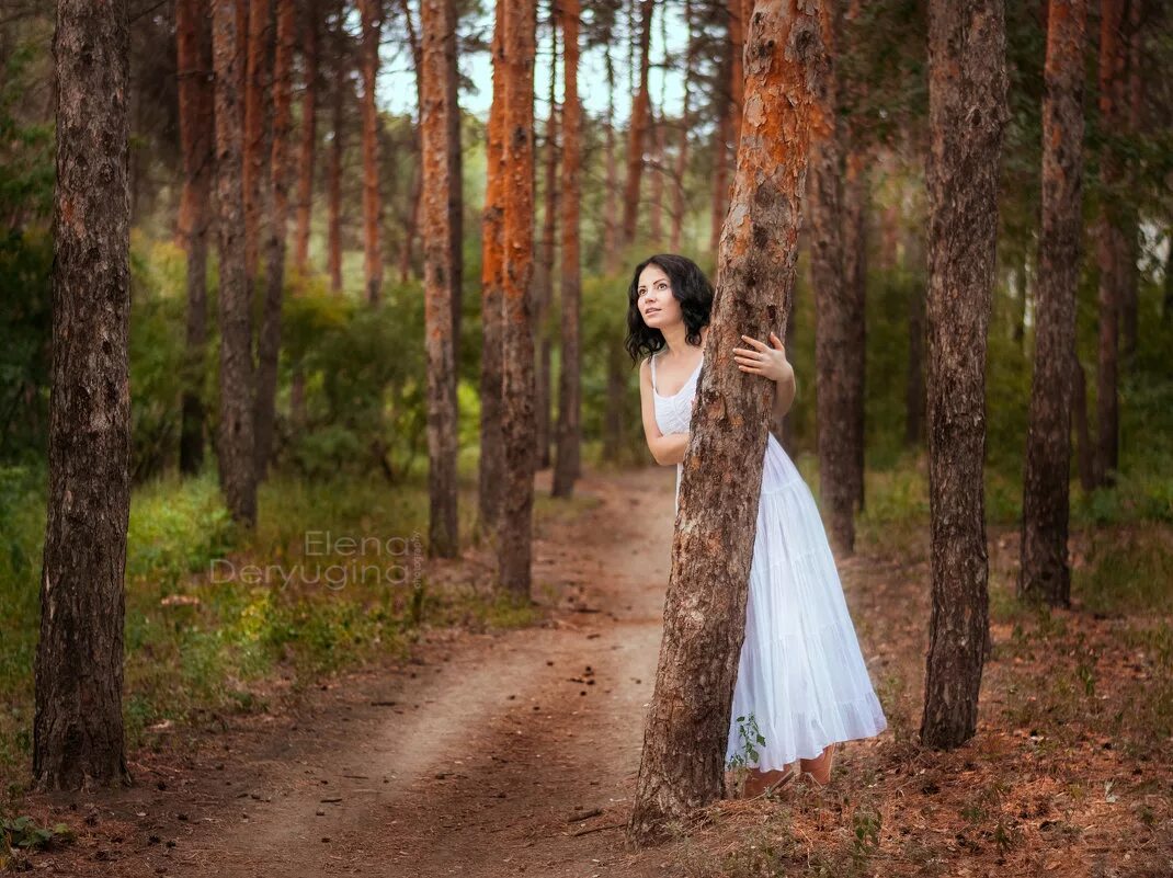 Фотосессия в лесу. Фотосессия в лесу летом. Фотосессия в соснах. Девушка в лесу.