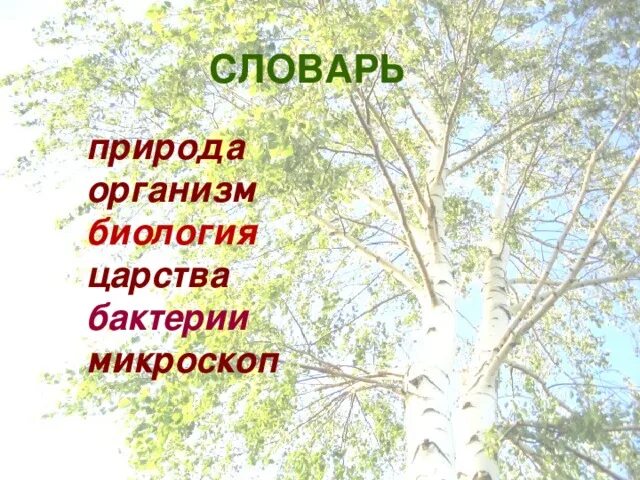 Понятие слова природа. Что такое организмы окружающий мир. Организмы это 3 класс окружающий. Организмы это для 3 класса. Организмы это для 3 класса окружающий мир.