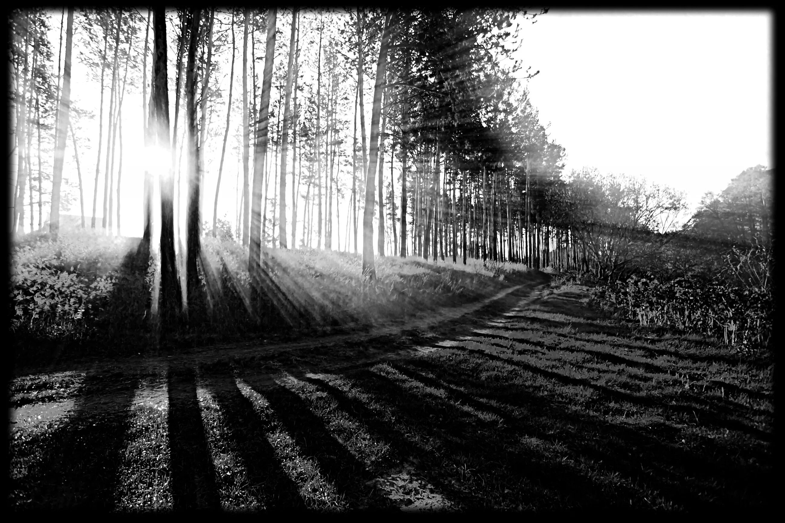 Пейзаж с дорогой для гравировки. Пейзаж для гравировки. Дорога гравировка. Пейзаж для гравировки на граните. Пейзаж чб.