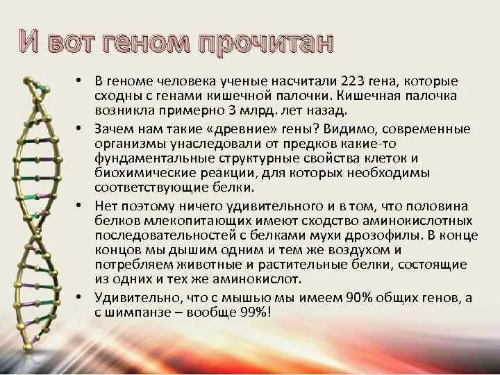 Структура генома человека. Особенности генома человека. Геном человека содержит примерно:. Геном человека кратко.