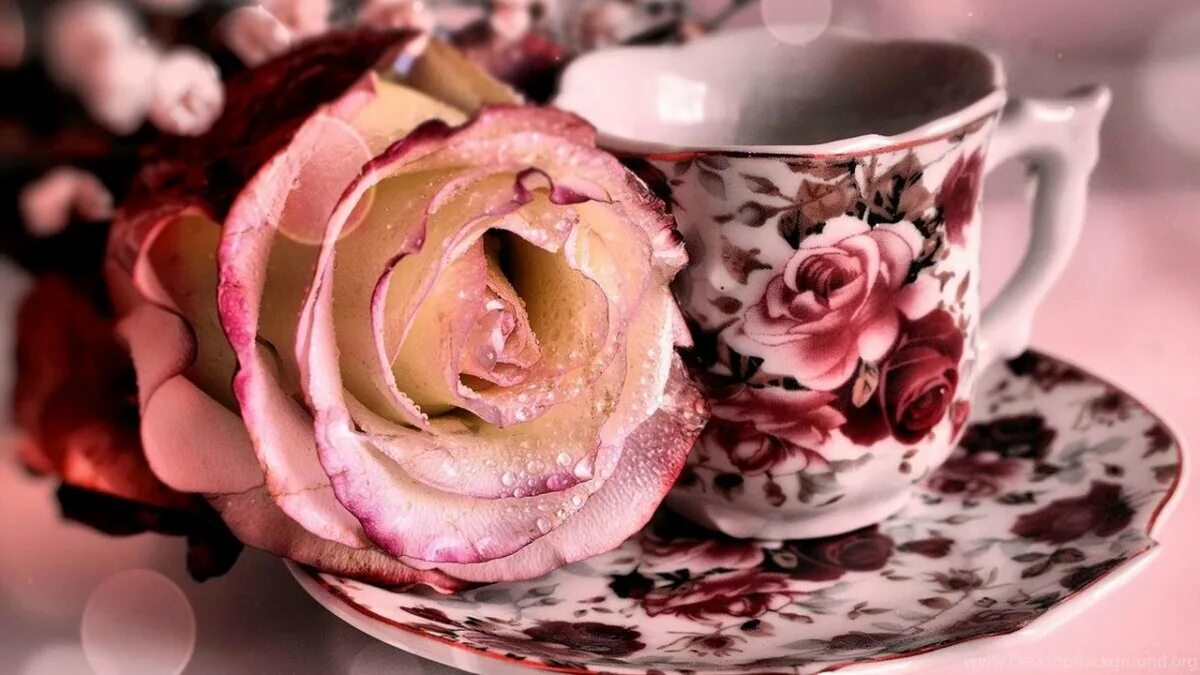 Картинка утро доброе розовое. Красивые цветы в чашке. Красивые чашки. Красивая чашка кофе. Кофе и цветы.