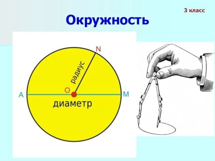 Диаметр 3.3. Окружность круг радиус диаметр 3 класс. Математика 3 класс окружность круг радиус диаметр. Радиус и диаметр окружности 3 класс. Круг. Окружность (центр, радиус, диаметр). Математика 3 класс.