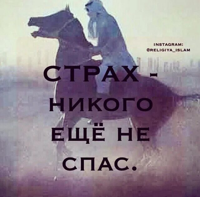 Магомед Асабаев Грозный. Трусость не продлит жизнь. Страх никого еще не спас. Трусость не продлит жизнь а храбрость.