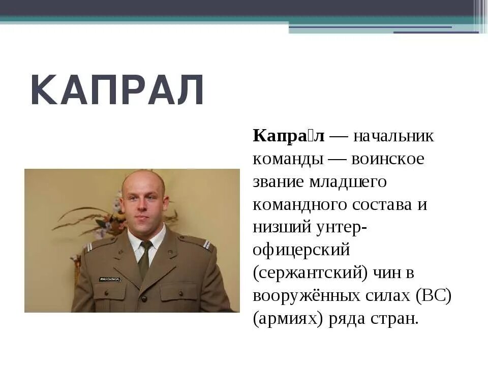 Начальник по воинскому званию. Капрал воинское звание. Капрал в армии. Звания в армии Капрал. Рангах в армии Капрал.