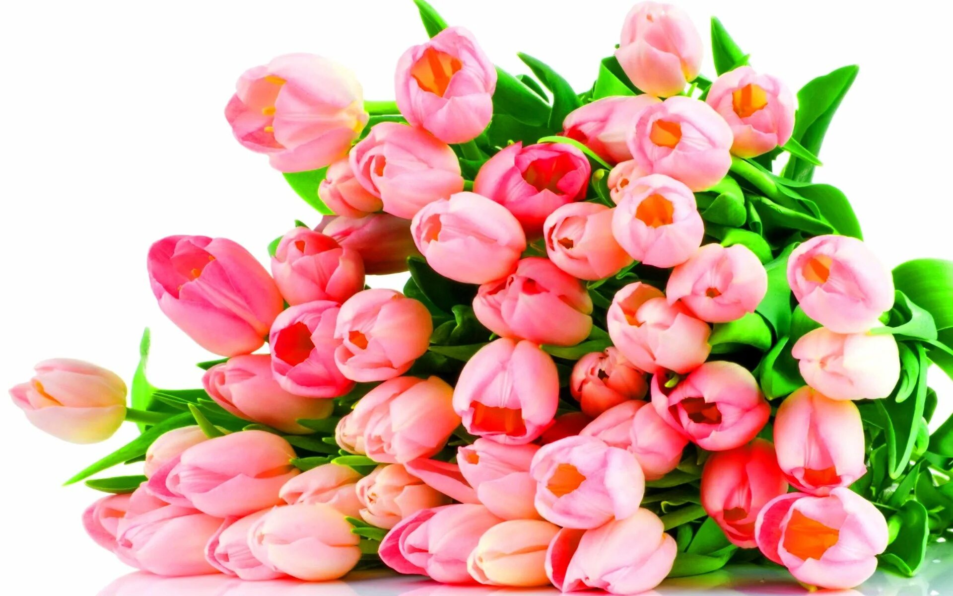 Тюльпашки для милашки. Розовые тюльпаны. Нежные тюльпаны. Весенний букет.